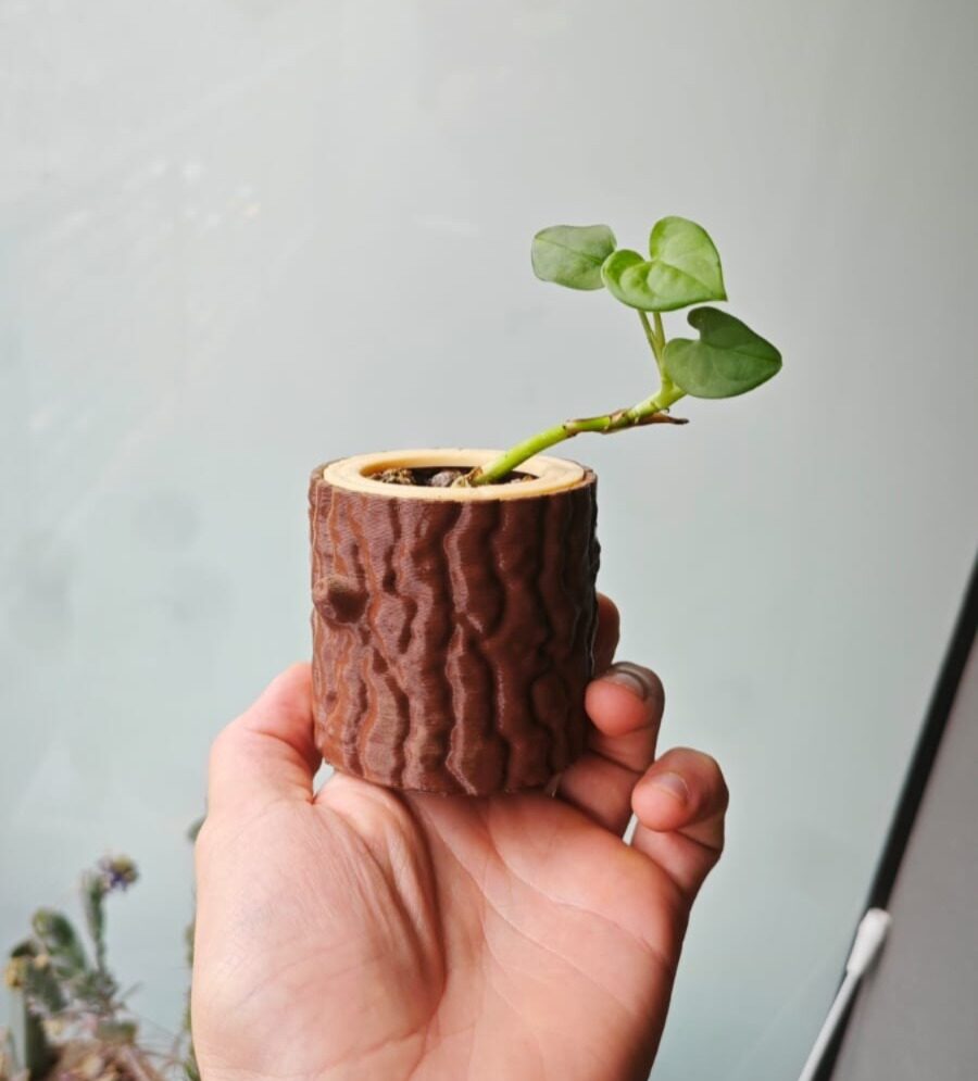 Log Planter, 3D Printed Bark Texture Succulent Pot