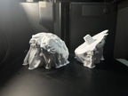 Golden Skull David Bust Sculpture, 3D Printed Home Decor