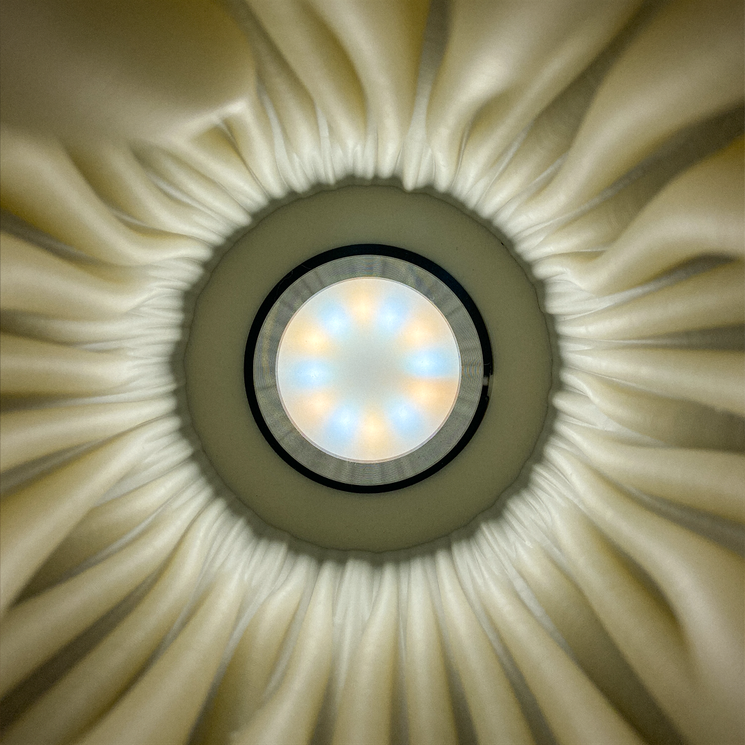 Zoan Table Lamp