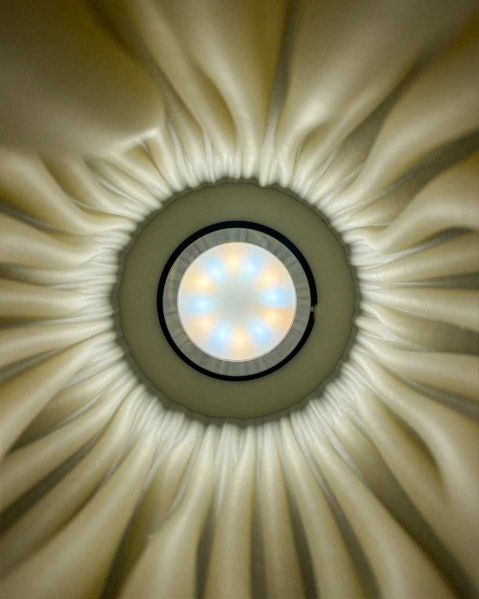Zoan Table Lamp