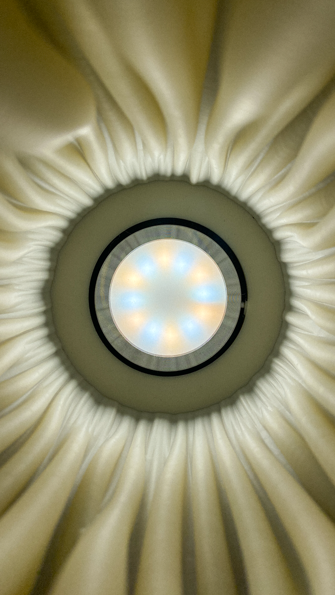 Zoan Table Lamp