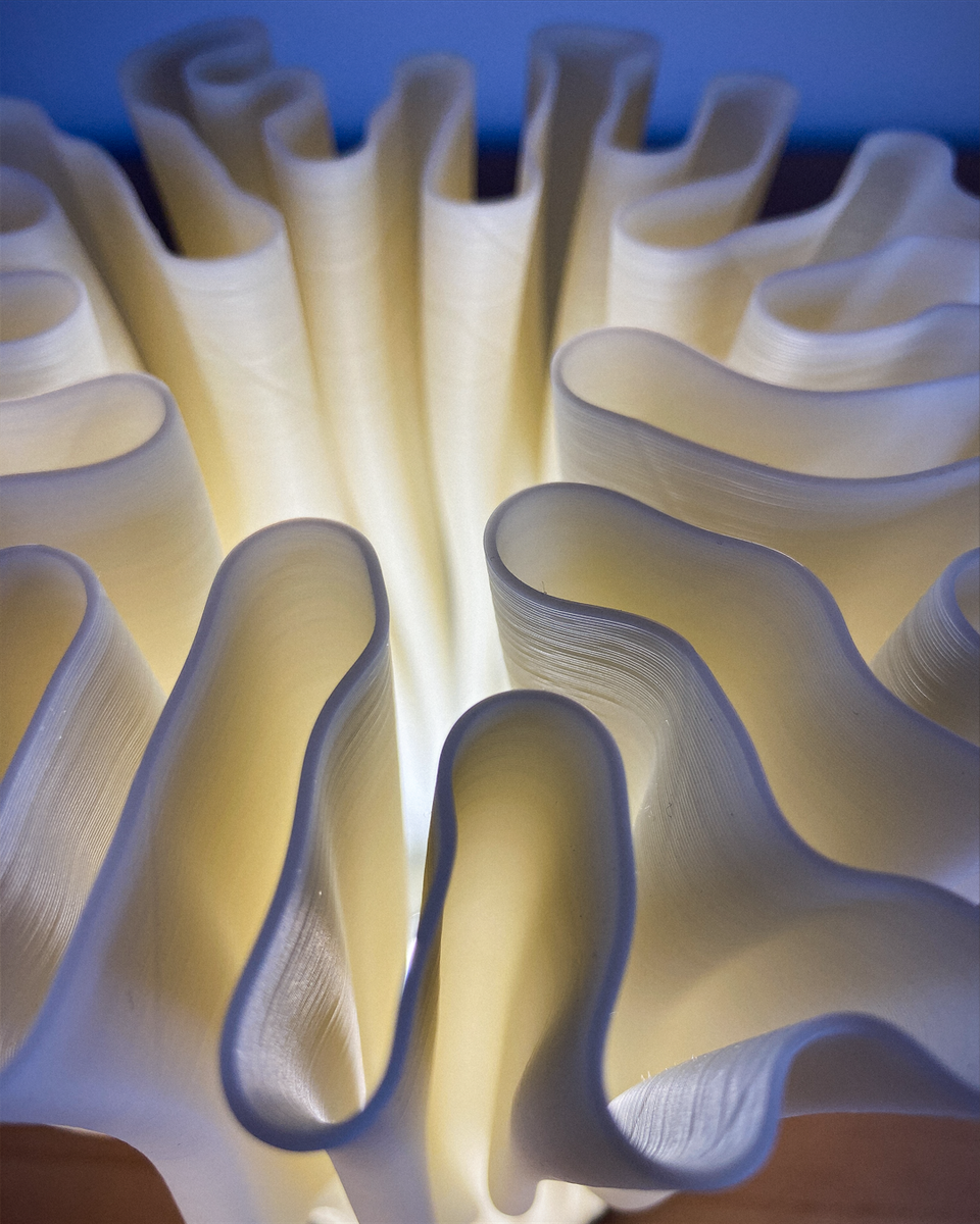 Zoan Table Lamp