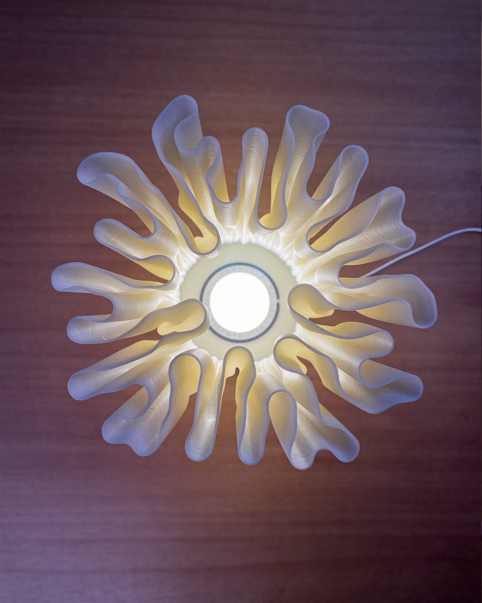 Zoan Table Lamp