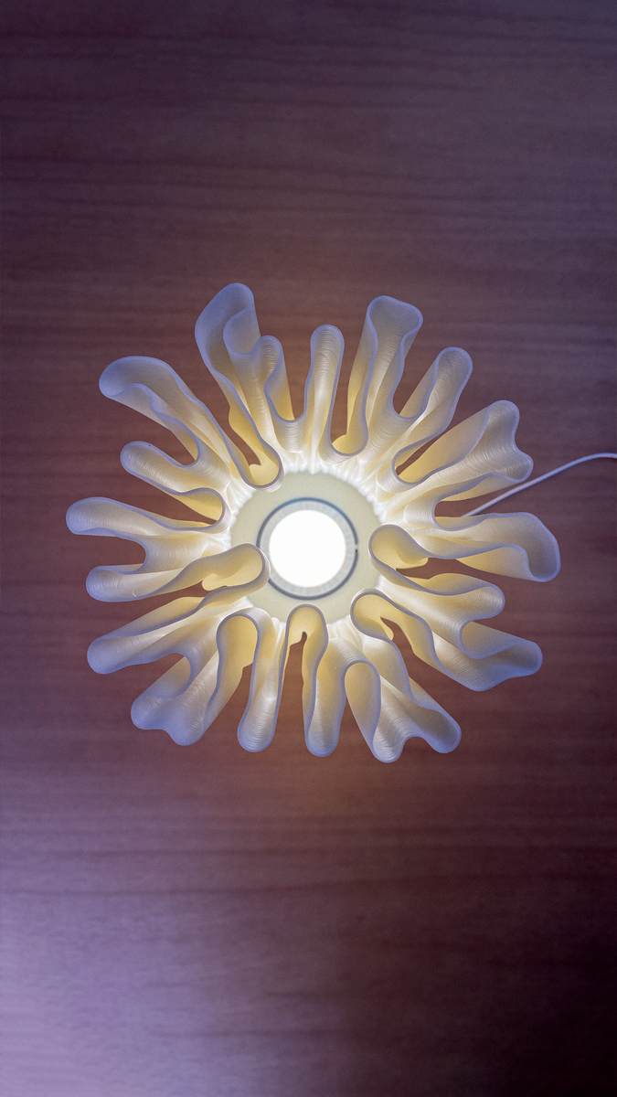 Zoan Table Lamp