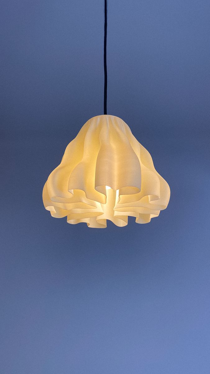 Zoan Pendant lamp