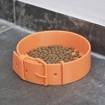 Amigo Pet Bowl