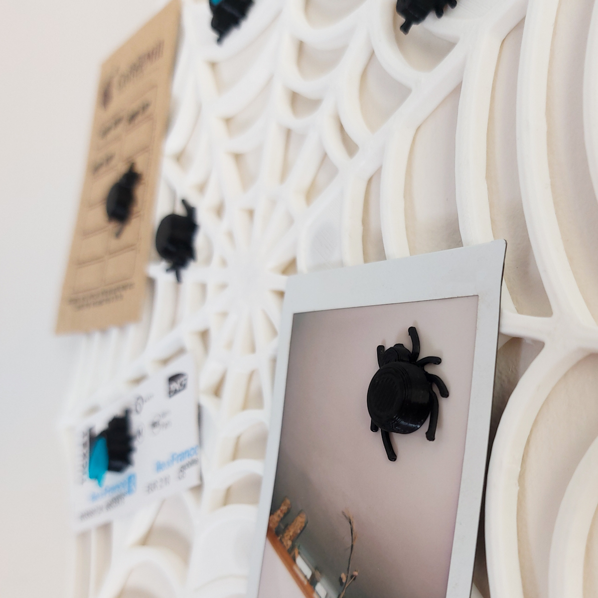 Spiderweb Pic Board