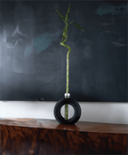 Donut Ring Plant Propagation Holder, 3D Printed Test Tube Stand