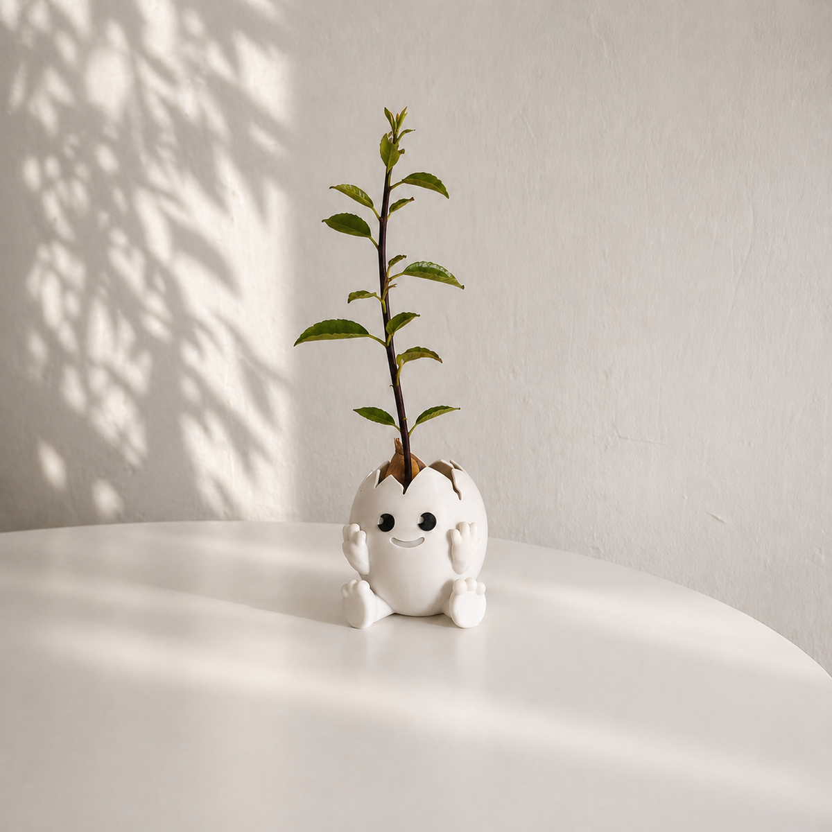 Avacado Egg Planter
