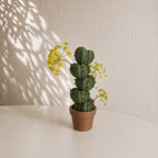 Cactus Bud Vase, 3D Printed Quirky Vase for Dried Flowers