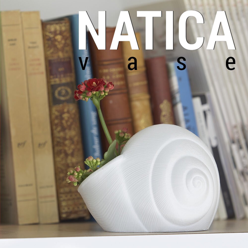 Natica Spiral Seashell Vase, 3D Printed Planter for Flowers