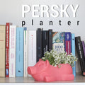 Sleeping Piglet Succulent Planter, 3D Printed Pig Plant Pot