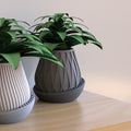 Faceted Teardrop Planter Pot with Saucer, 3D Printed Plant Pot