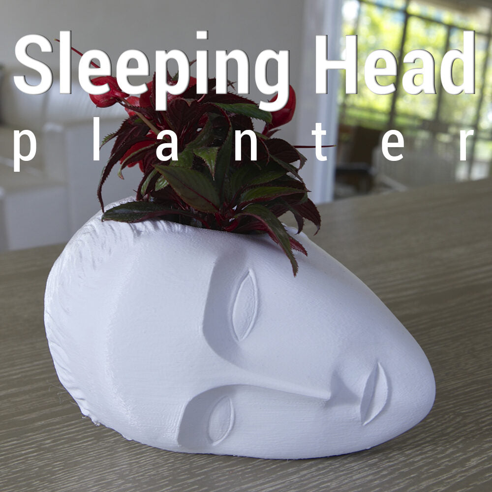 Sleeping Muse Planter
