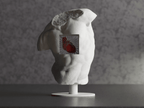 Classical Torso Sculpture with Anatomical Heart, 3D Printed Bust